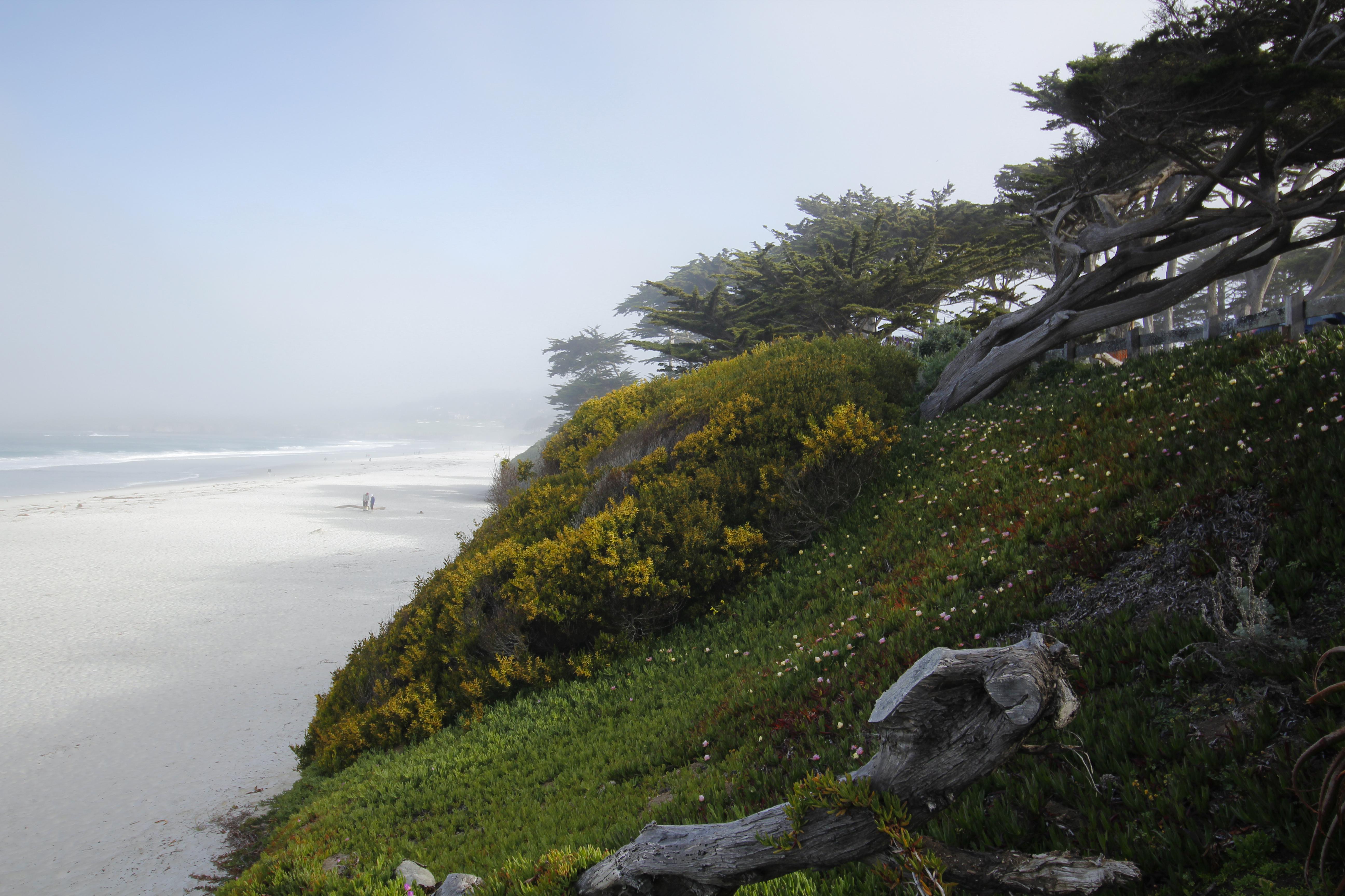 Le Petit Pali At Ocean Ave Hotel Carmel-by-the-Sea Buitenkant foto